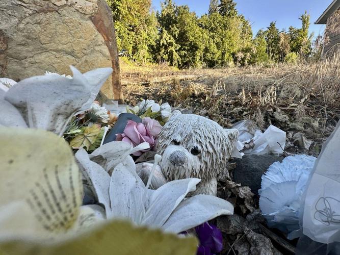 Bryan Kohberger admits to killing 4 Idaho students but motive remains