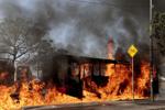 Canadians stranded in Puerto Vallarta, ordered to shelter in place, as flights cancelled amid street violence