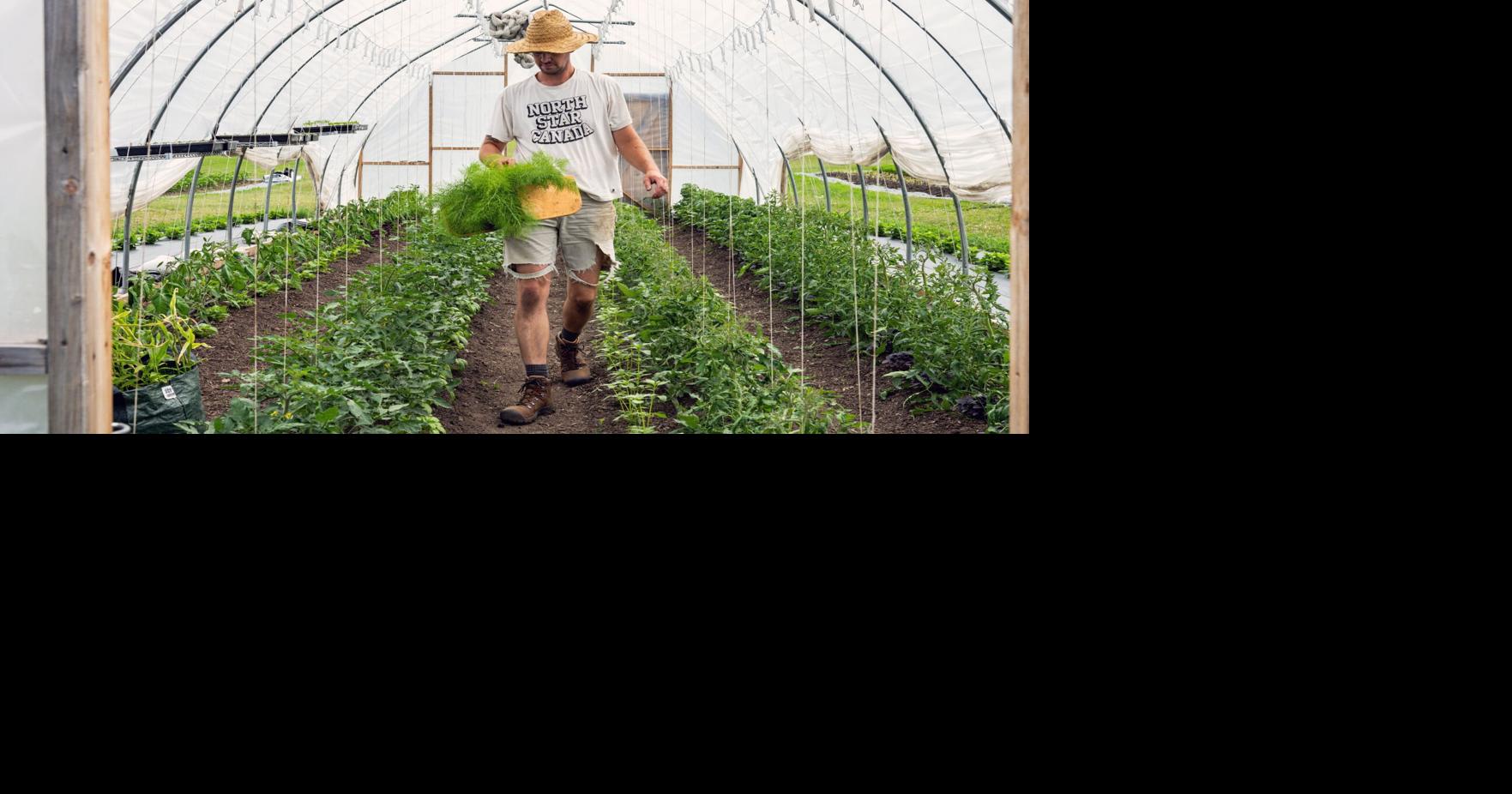 Toronto's top chefs are taking up farming, bringing new meaning to farm-to-table dining