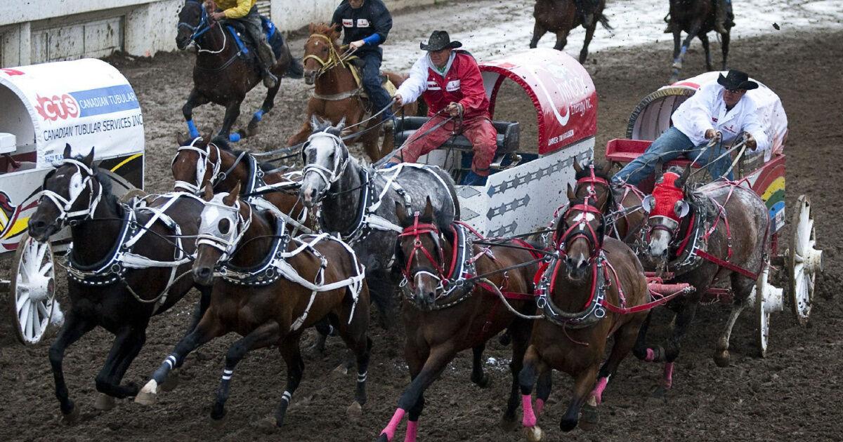 The royals and the rodeo