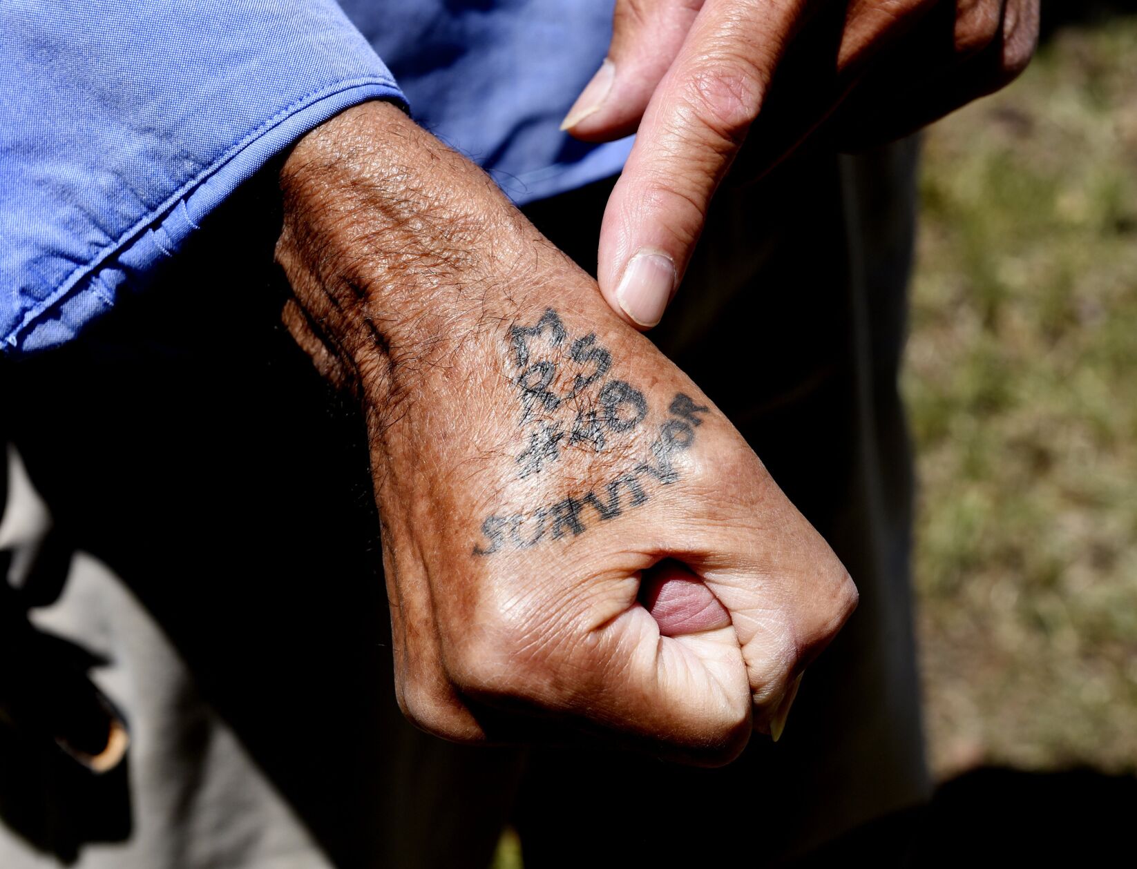 Edmonton man gets Zellers tattoo because he thought it was funny  CTV  News