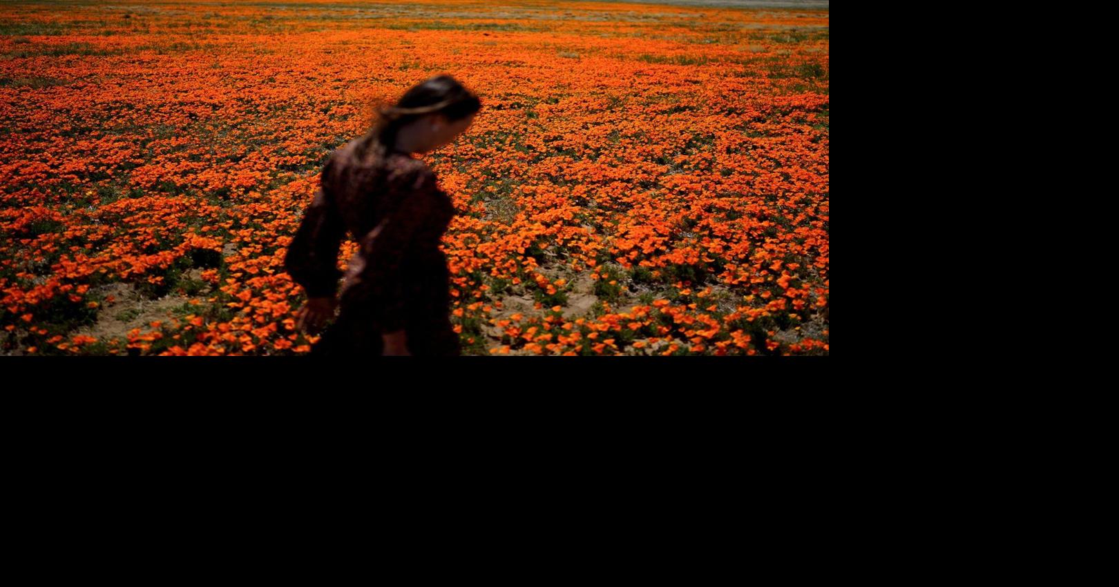 Welcome to allergy season. Here's how to protect yourself