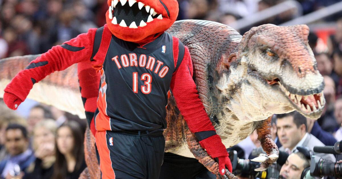Chicken Raptor Posture More good news for Raptors — The Chicken is coming back: Kelly