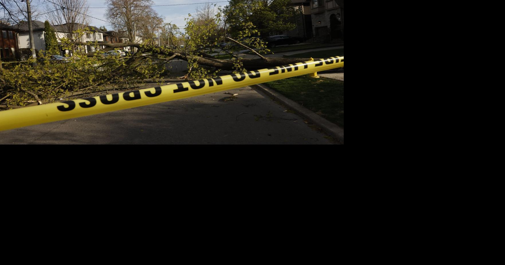 https://bloximages.chicago2.vip.townnews.com/thestar.com/content/tncms/assets/v3/editorial/e/cb/ecbbdddc-feca-5d56-8dce-ae8cfc651e0a/6854ac7f111cb.image.jpg?crop=1763,926,0,125&resize=1200,630&order=crop,resize