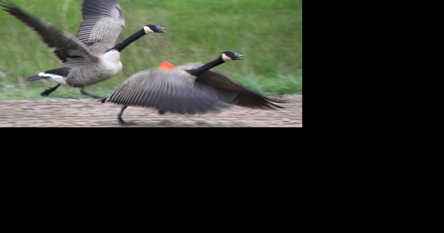 https://bloximages.chicago2.vip.townnews.com/thestar.com/content/tncms/assets/v3/editorial/e/d1/ed19422e-af21-5b59-9f49-5e21ba590847/6867e1aa715d4.image.jpg?crop=1763,926,0,124&resize=1200,630&order=crop,resize