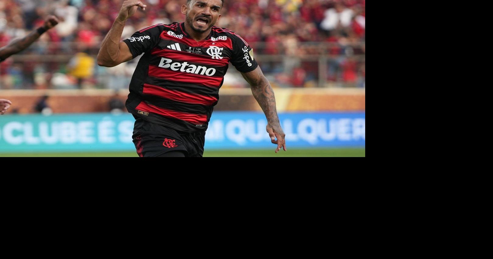 Danilo da Silva header secures Flamengo Copa Libertadores triumph over Palmeiras