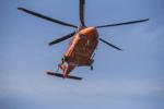 Boy hit by falling tree behind Oshawa school airlifted to SickKids