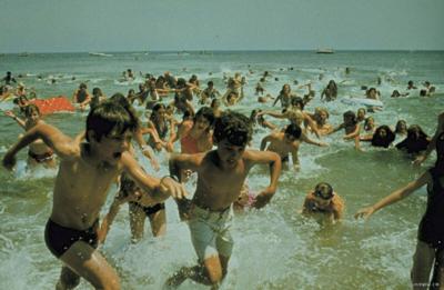 jawsbeach
