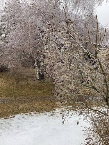 Hundreds of thousands still without power as ice storm moves east