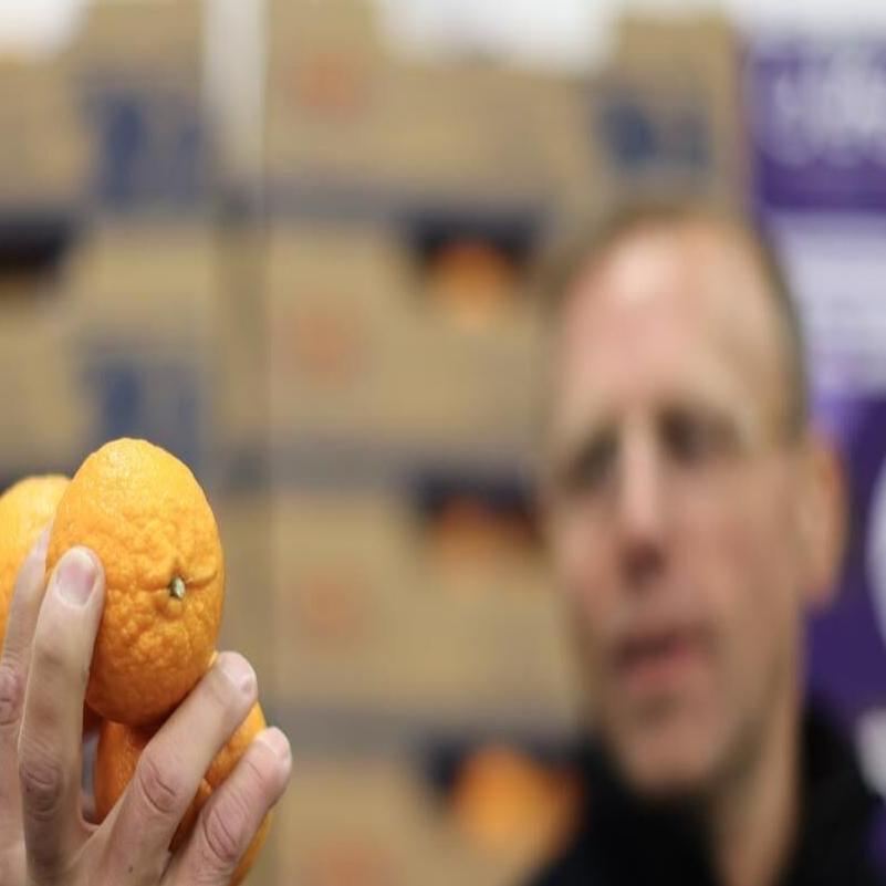 What To Look For When Buying Clementines