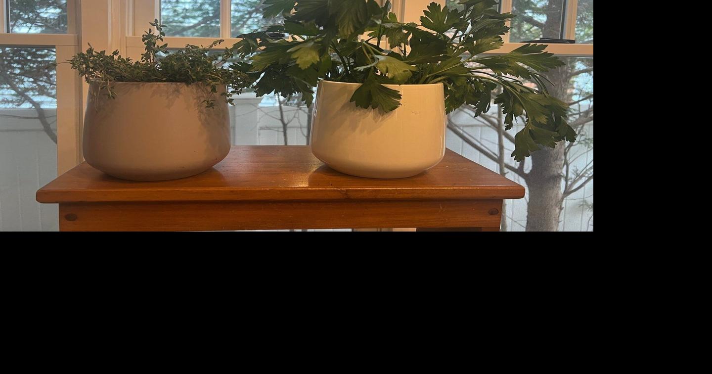 Herbs grown indoors require extra care. Here are some tips