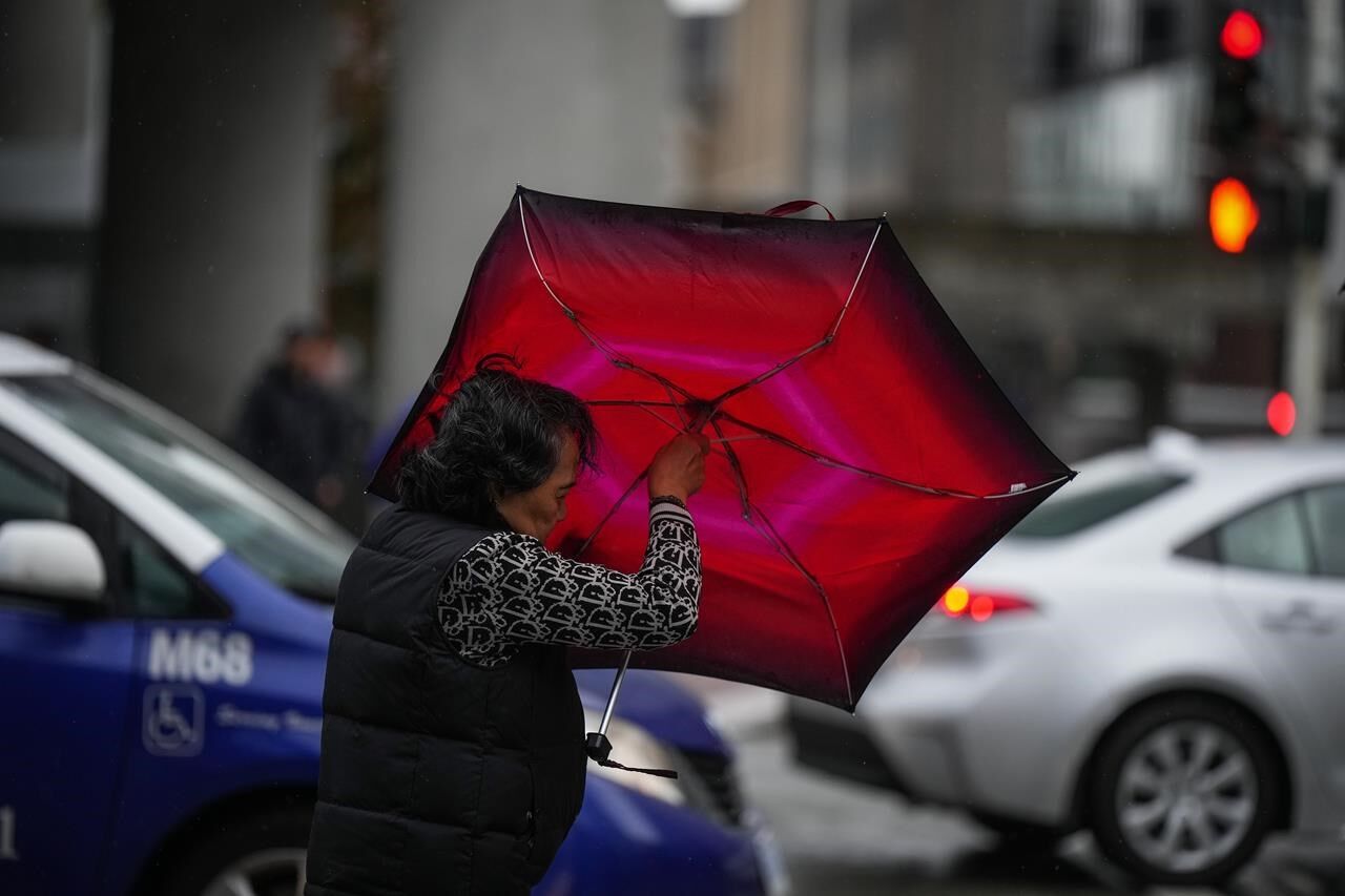 High wind warnings along B.C.'s coast as gusts predicted to reach