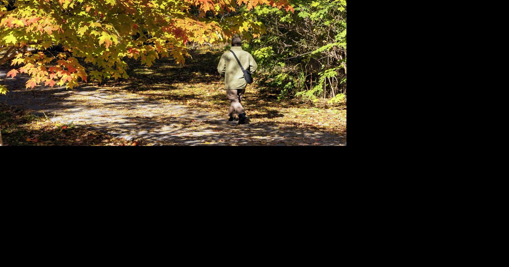 It's Thanksgiving weekend. What aspects of Toronto life are you thankful for?