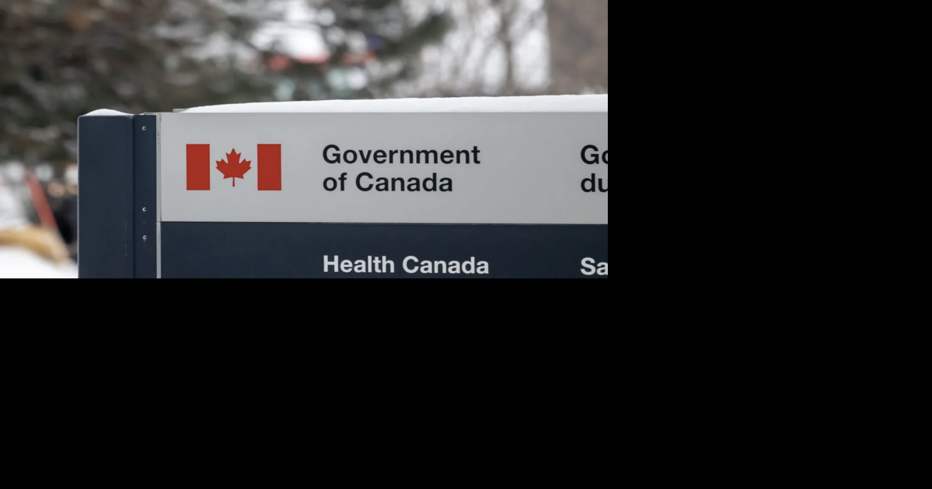 Cuisinart BBQ grill brushes sold in Canada recalled over bristles that can detach and be ingested, posing a risk of serious internal injuries