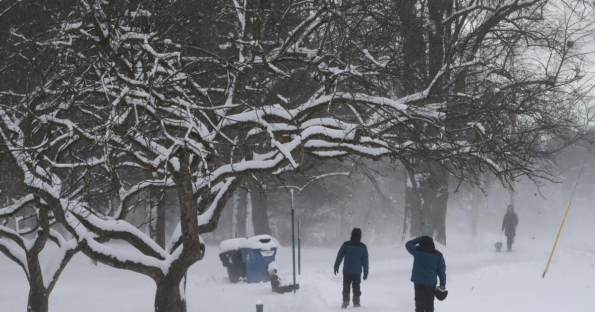 Chilly temperatures and possible snow squalls for Toronto Friday afternoon
