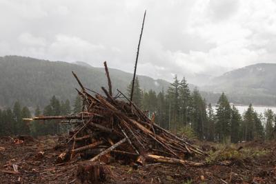 Road closed by Vancouver Island wildfire near Bamfield may open by October