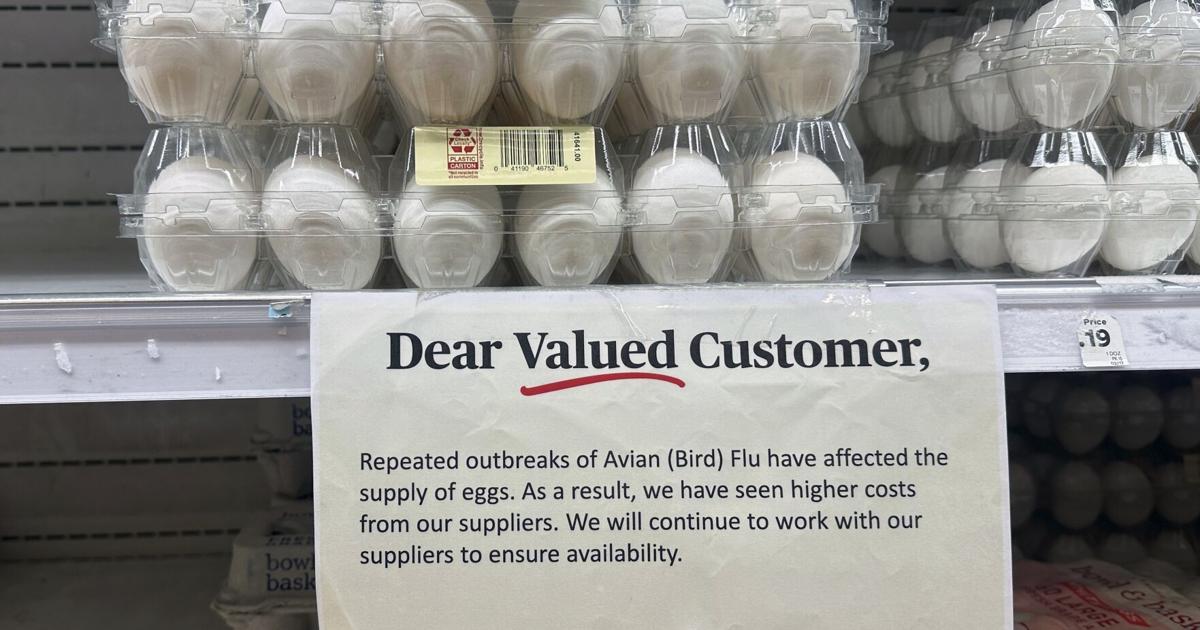 The U.S. needs miliions of eggs. Can Canada help?