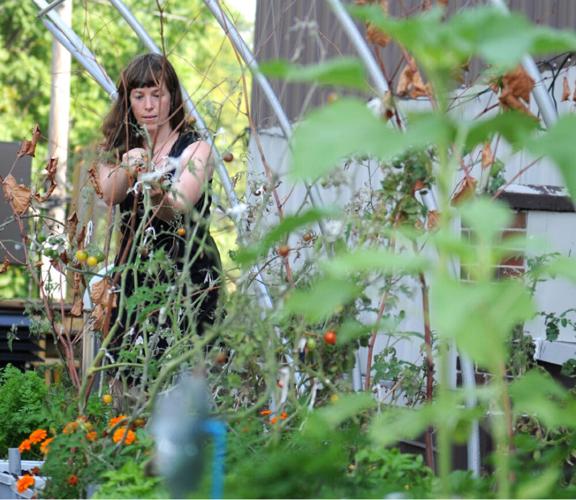 Above the concrete jungle, green roofs you can eat