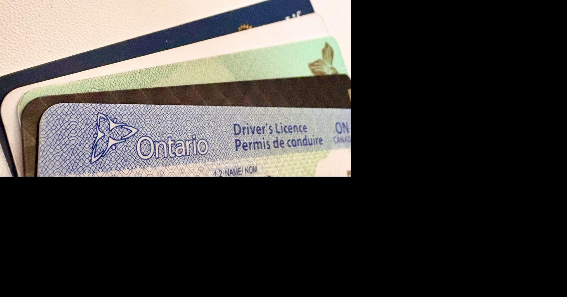 Is my Ontario driver's licence in the alleged 153-million IDScan.net breach? Here's what Canadians can do to check - Toronto Star