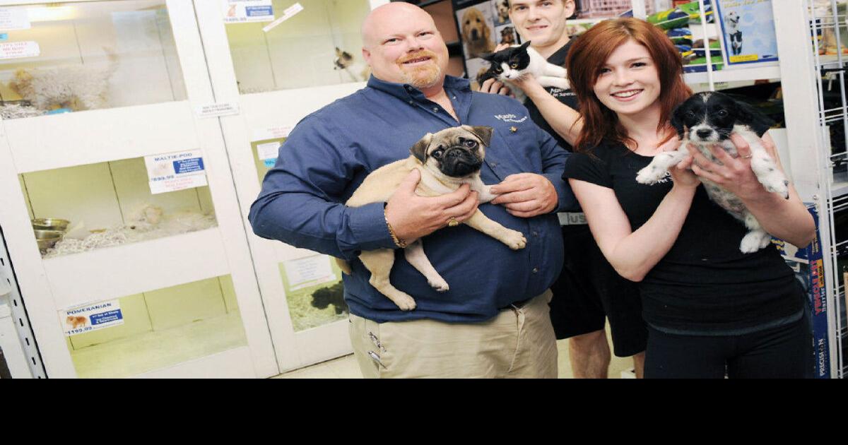 Oshawa poised to ban puppy and kitten sales in pet stores