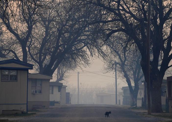 Texas wildfires fueled by gusty winds prompt evacuations
