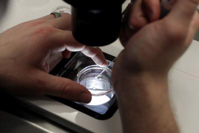 White House says Trump is reviewing IVF policy recommendations promised in executive order