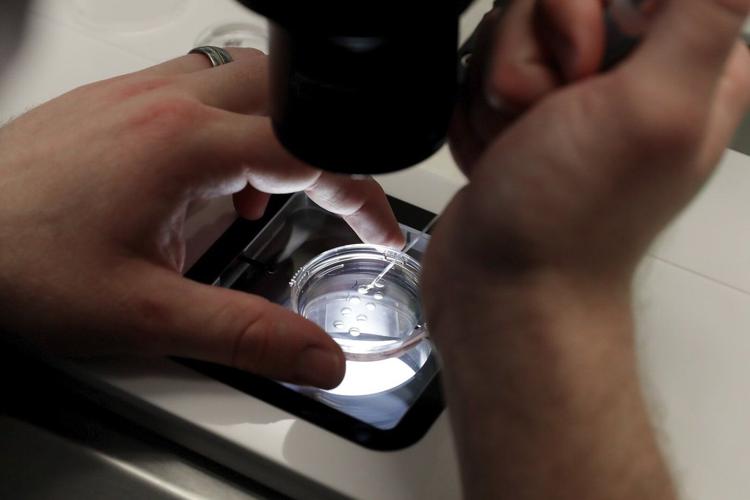 White House says Trump is reviewing IVF policy recommendations promised in executive order