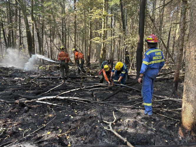 ci-kawartha-lakes-fire-aug14.jpg