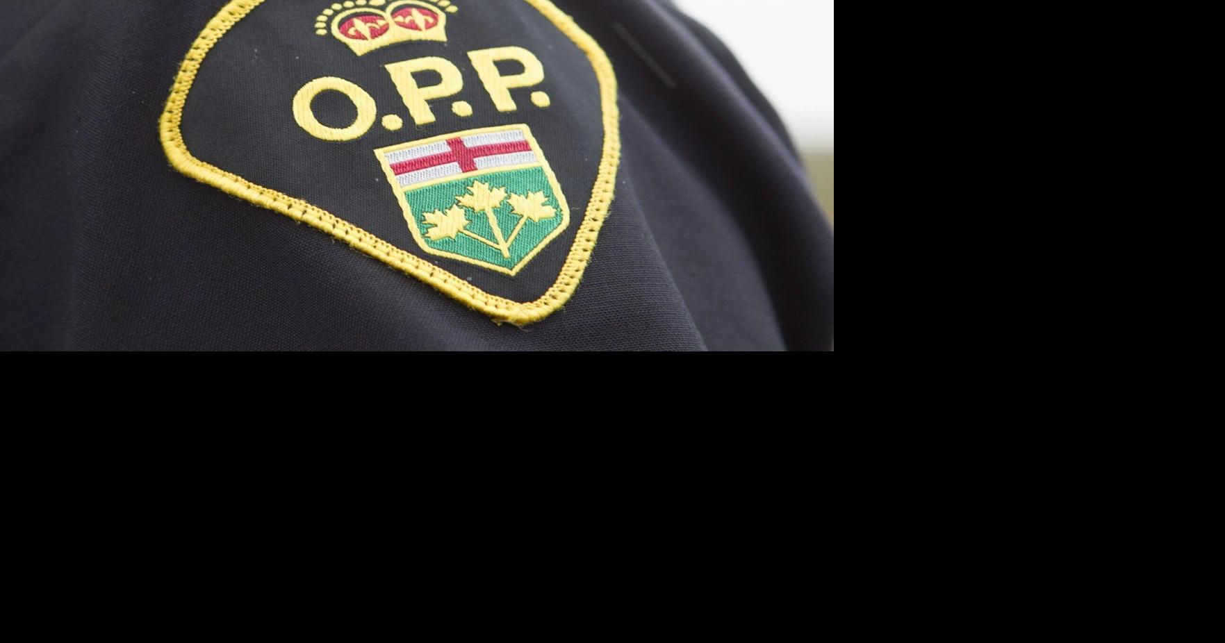 OPP investigation launched into company that received Ford government funding