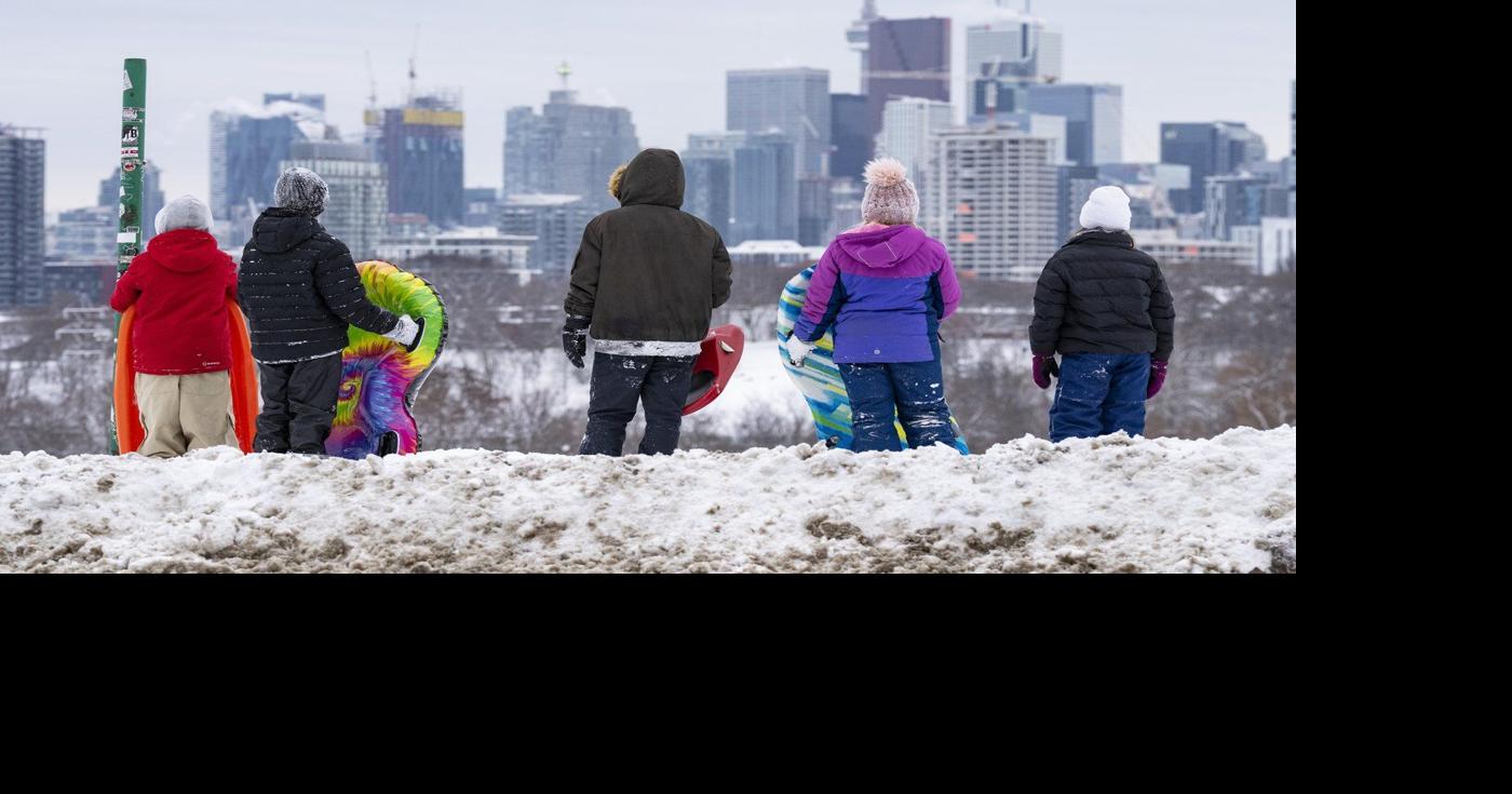 Screen all kids between 2 and 10 for high cholesterol, pediatric society recommends