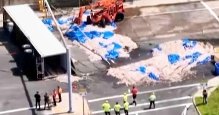 https://bloximages.chicago2.vip.townnews.com/thestar.com/content/tncms/assets/v3/editorial/f/46/f46f5d22-48ed-559f-aec8-5b83673609d6/6a8623dcd8974.image.jpg?crop=719%2C377%2C0%2C351