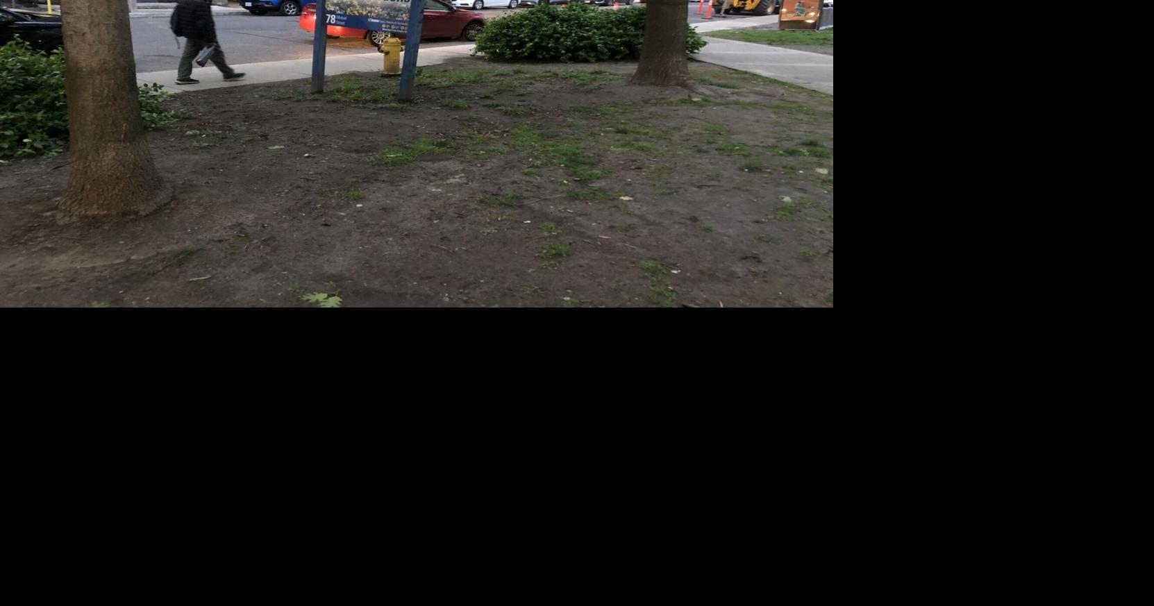 https://bloximages.chicago2.vip.townnews.com/thestar.com/content/tncms/assets/v3/editorial/f/49/f4970032-cc8f-544e-9268-837b1204ecaa/68653b9e1ecd5.image.jpg?crop=1662,873,0,187&resize=1200,630&order=crop,resize
