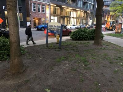 Arena Gardens lakey.jpg
