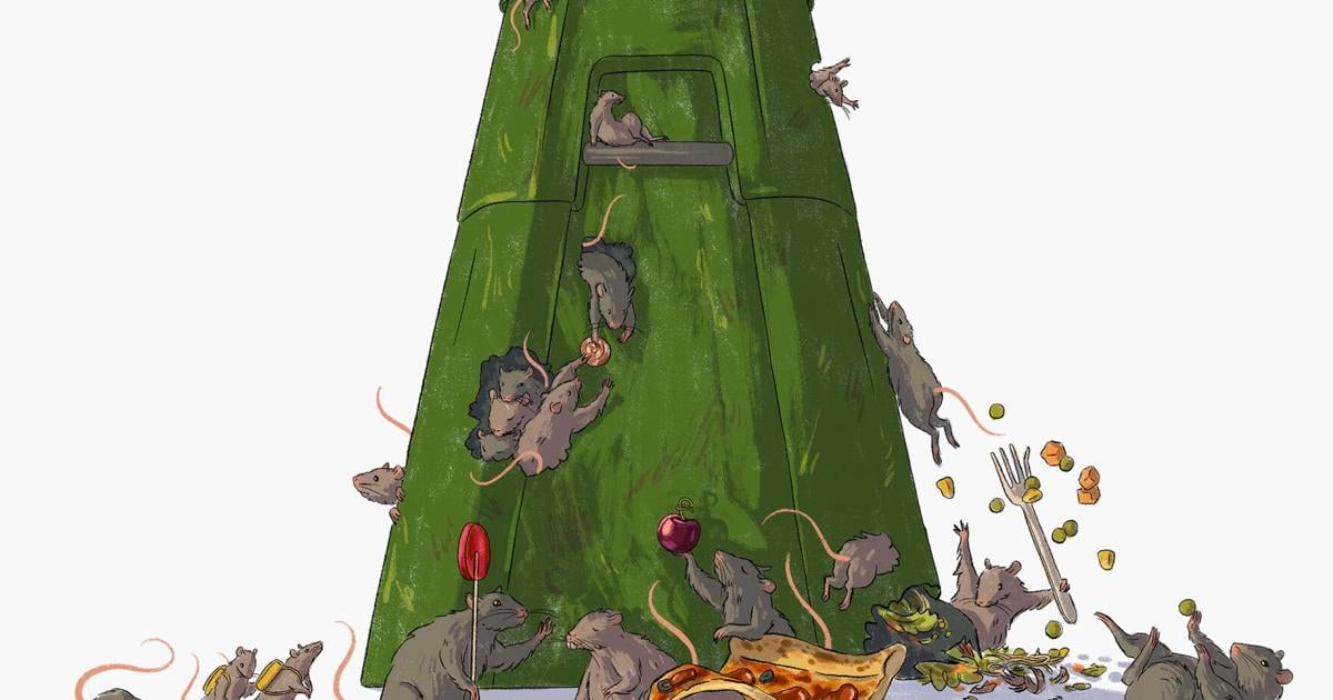 Rat Problem Toronto How Toronto’s rat problem got so bad — and what we should do