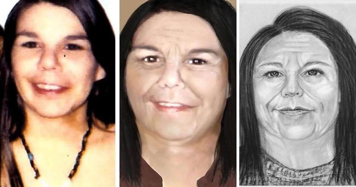 Toronto police make fresh appeal in search for woman who went missing ...