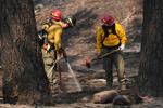 Officials warn wildland firefighters about the risks of using a supplement for smoke exposure