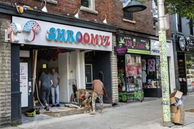 Afw_ShroomyzCrash_01jpg.JPG