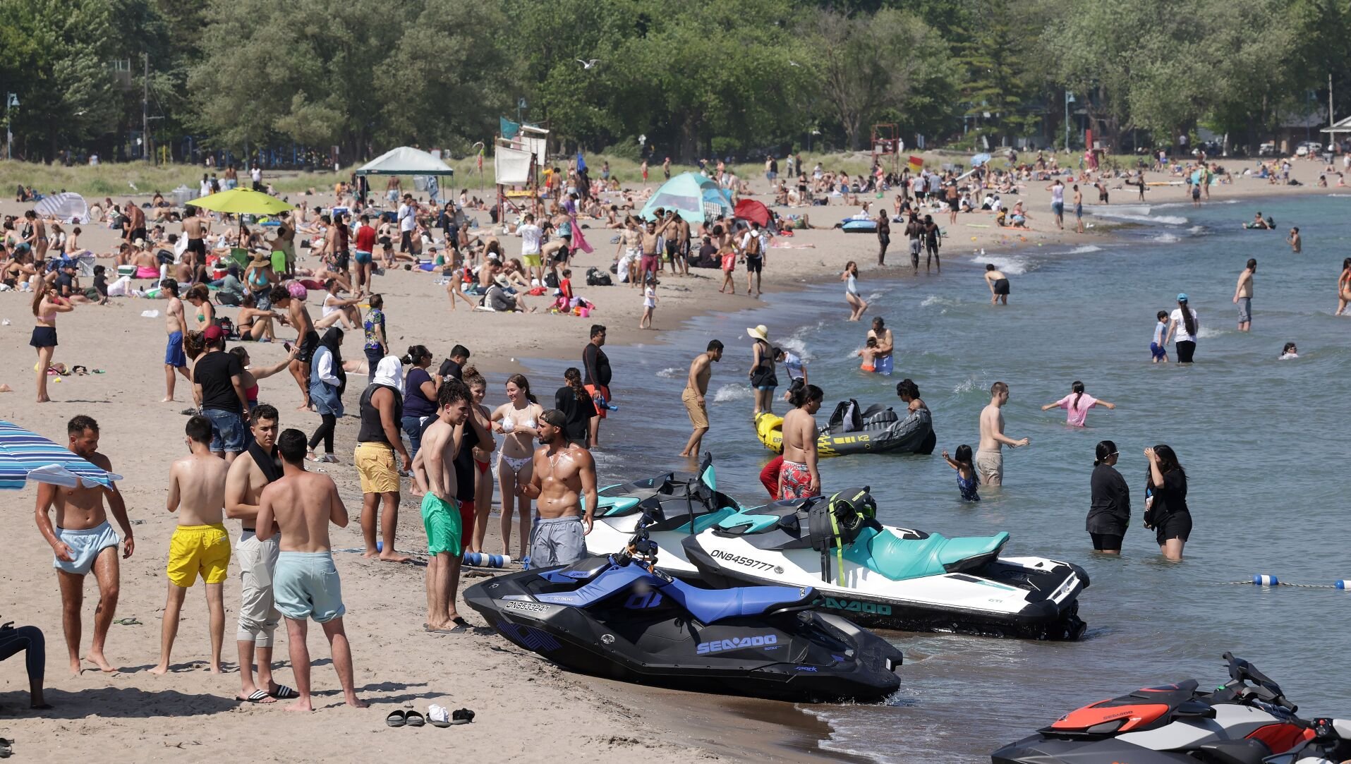 Ashbridges Bay Micallef.JPG