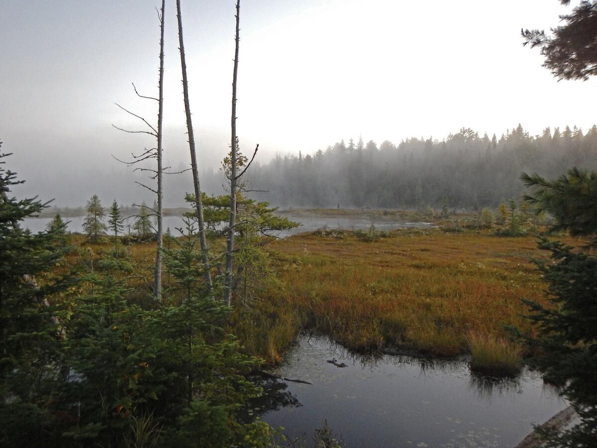 mizzy lake trail algonquin provincial park
