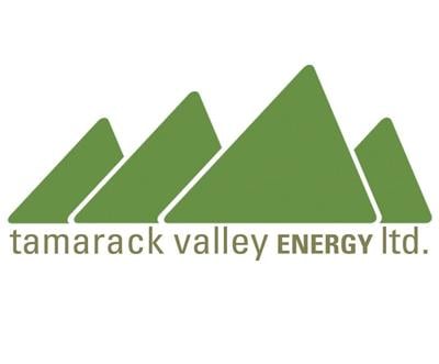 Tamarack Valley Energy selling non-core assets in eastern Alberta for $112 million