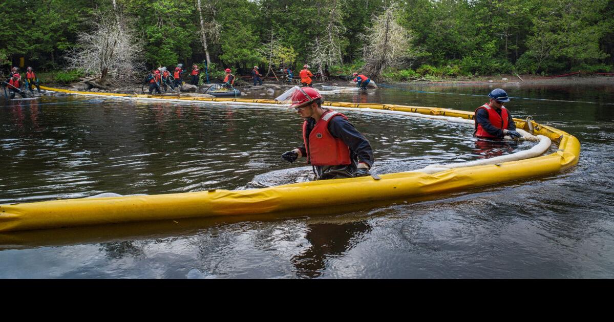 Fish deformities spiked after LacMégantic oil spill, report says