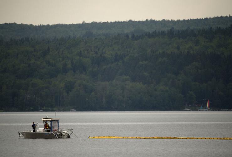Fish deformities spiked after LacMégantic oil spill, report says