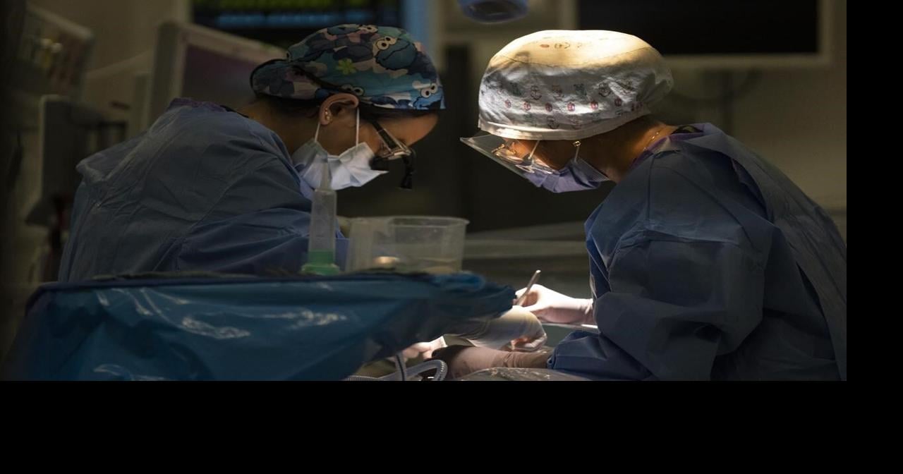Study finds lower health-care costs among Ontario patients who had ...