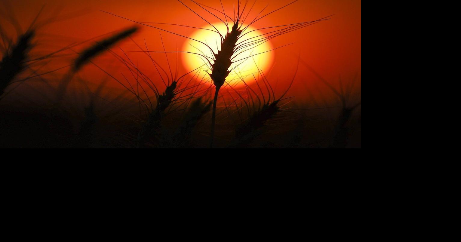 This year is expected to rival some of the hottest ever recorded, Canadian federal scientists say