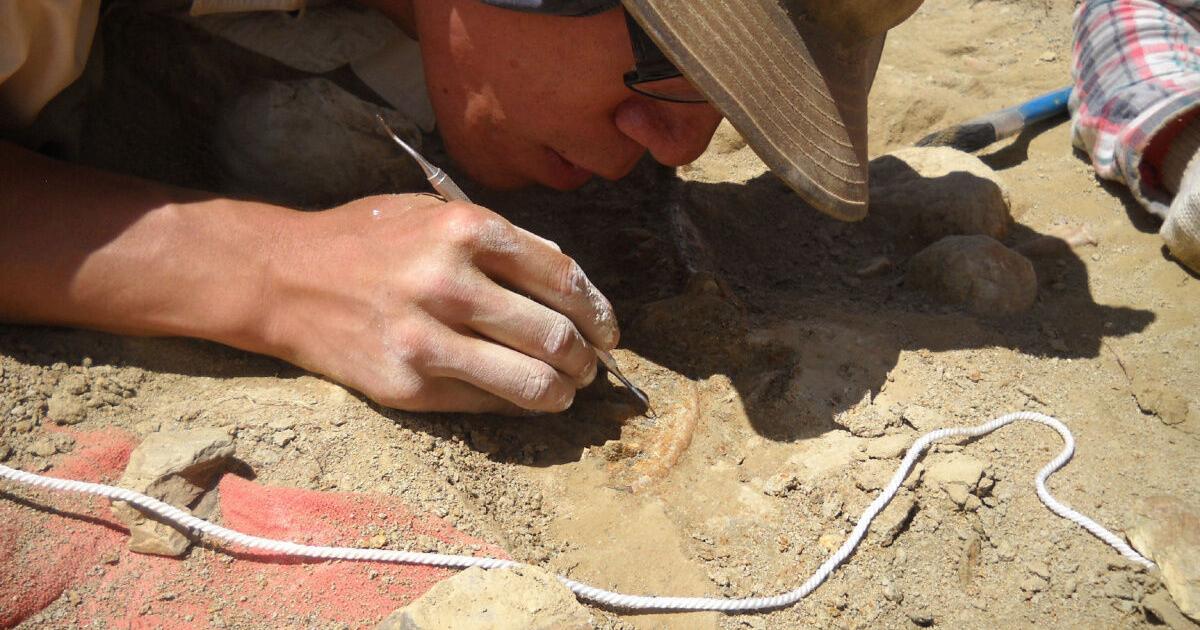 Why a 5-million-year-old Arctic fox fossil was found in the Himalayas