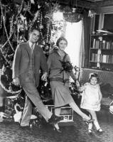 These new crime novels feature puzzles, plot twists and F. Scott Fitzgerald