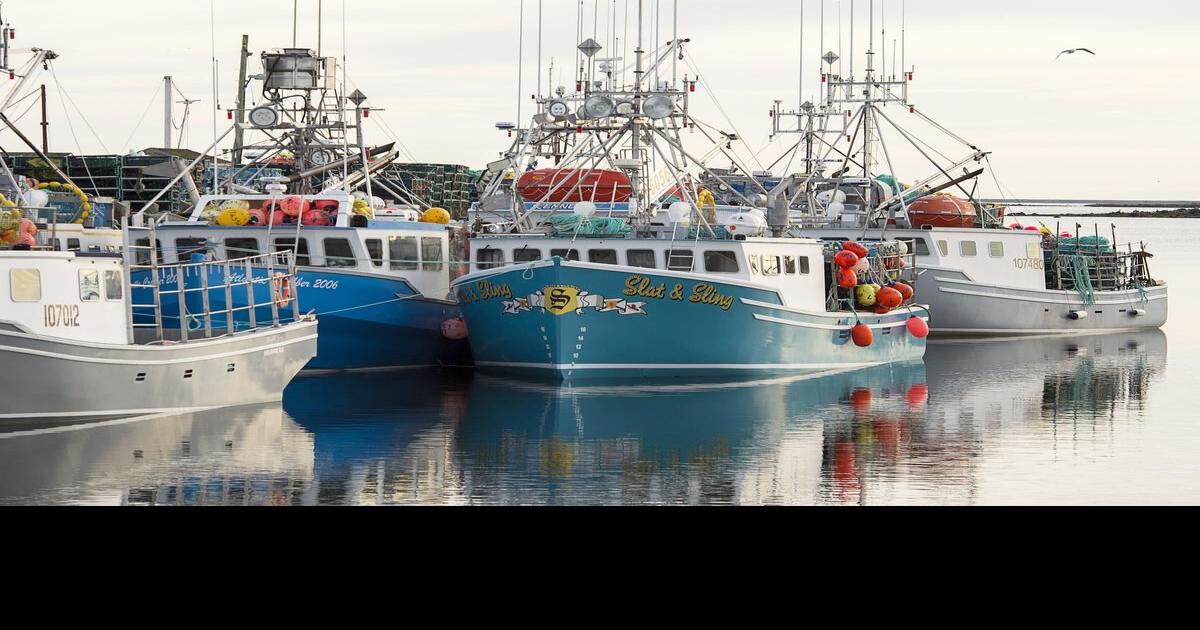 Fishing vessel sinks as lucrative lobster season opens off Nova Scotia