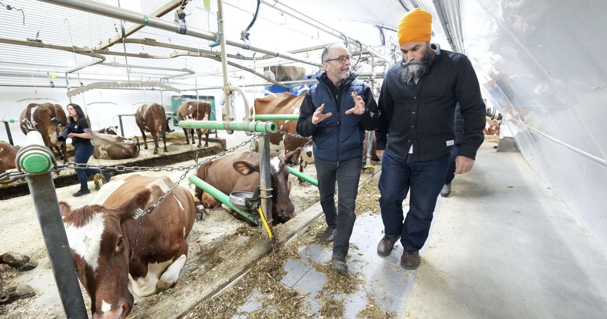 Source Ndp NDP’s platform to demand national rent control: source
