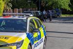 Teenager pleads guilty after arson attack on London synagogue