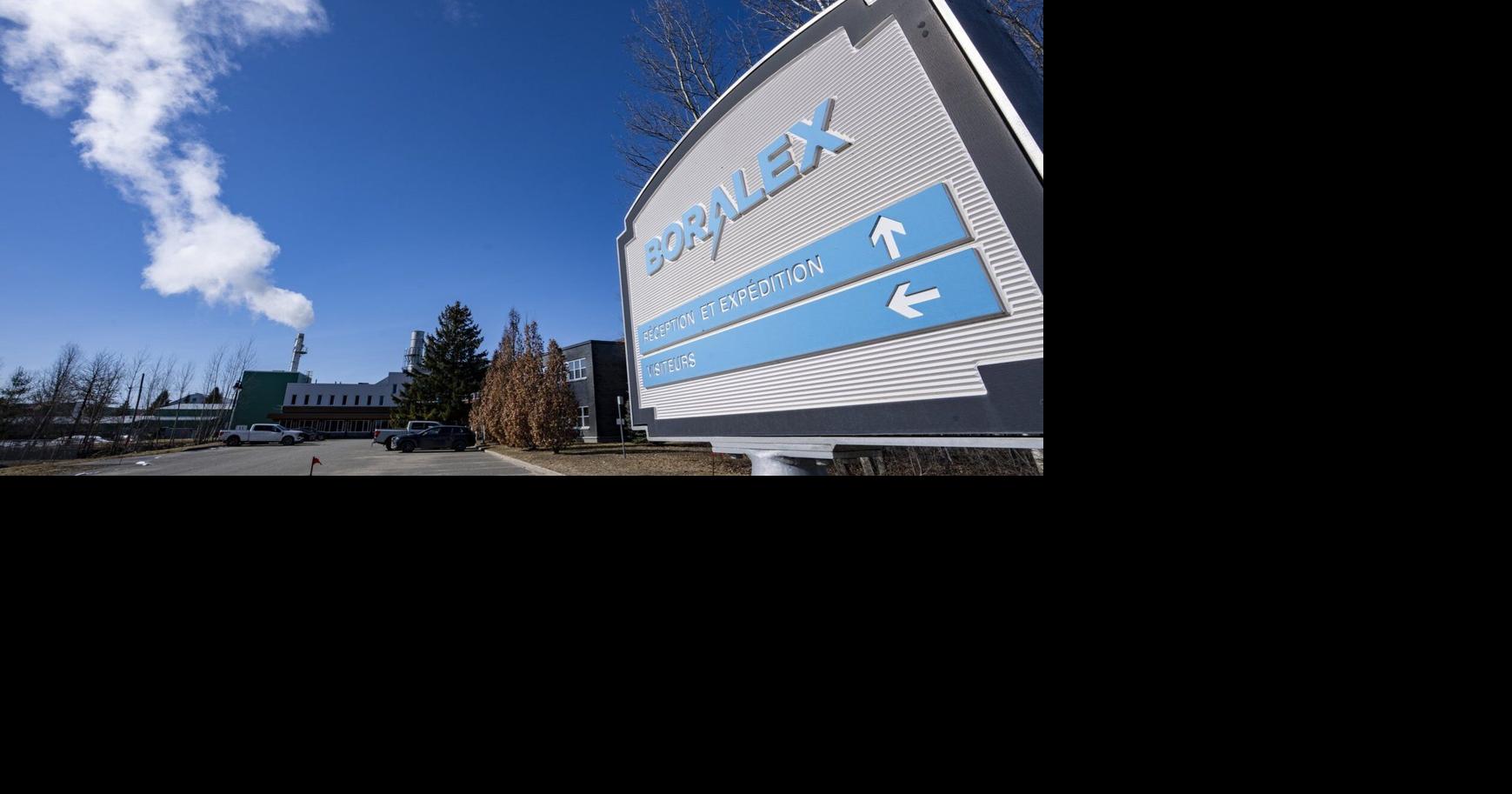 Boralex shareholders vote to approve deal with Brookfield and La Caisse